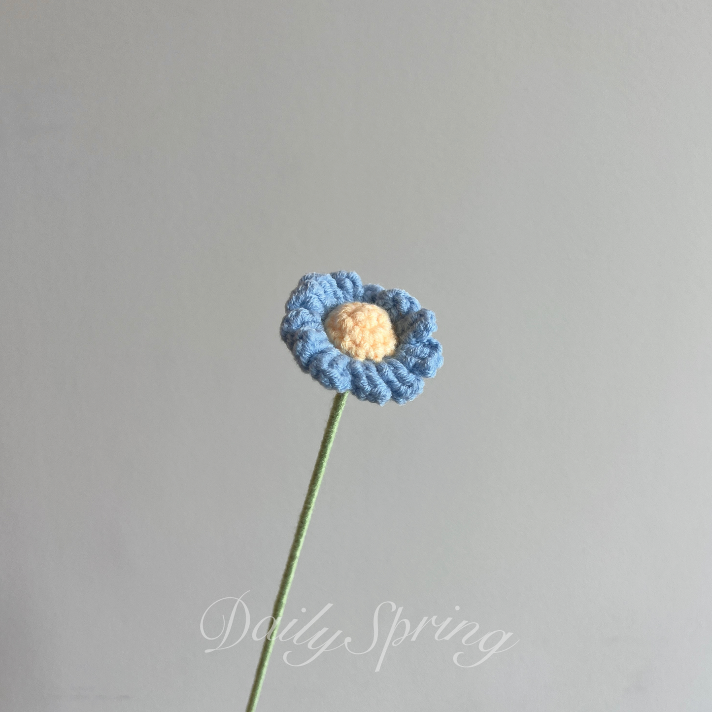 Single Stalk Daisy