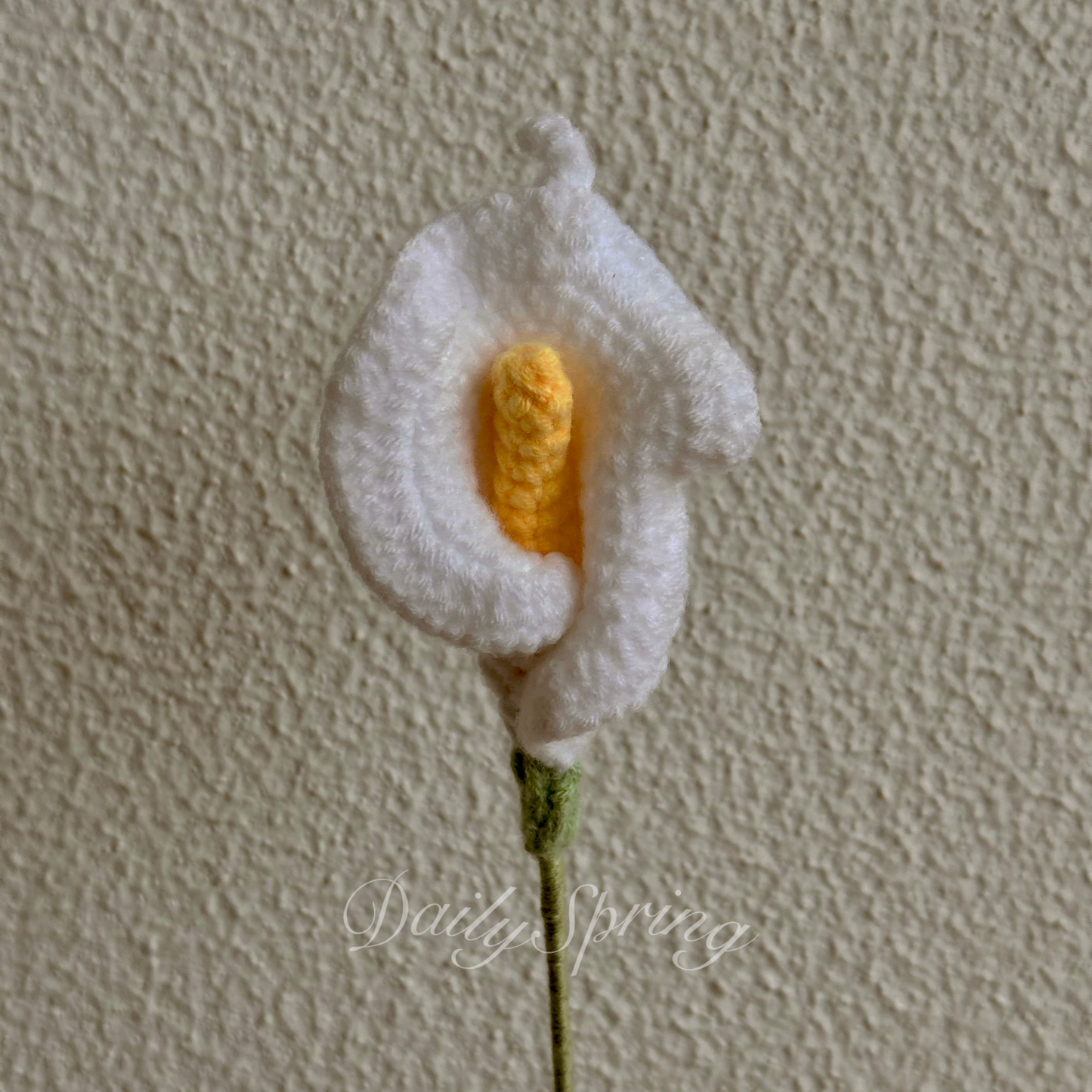 White Calla Lily