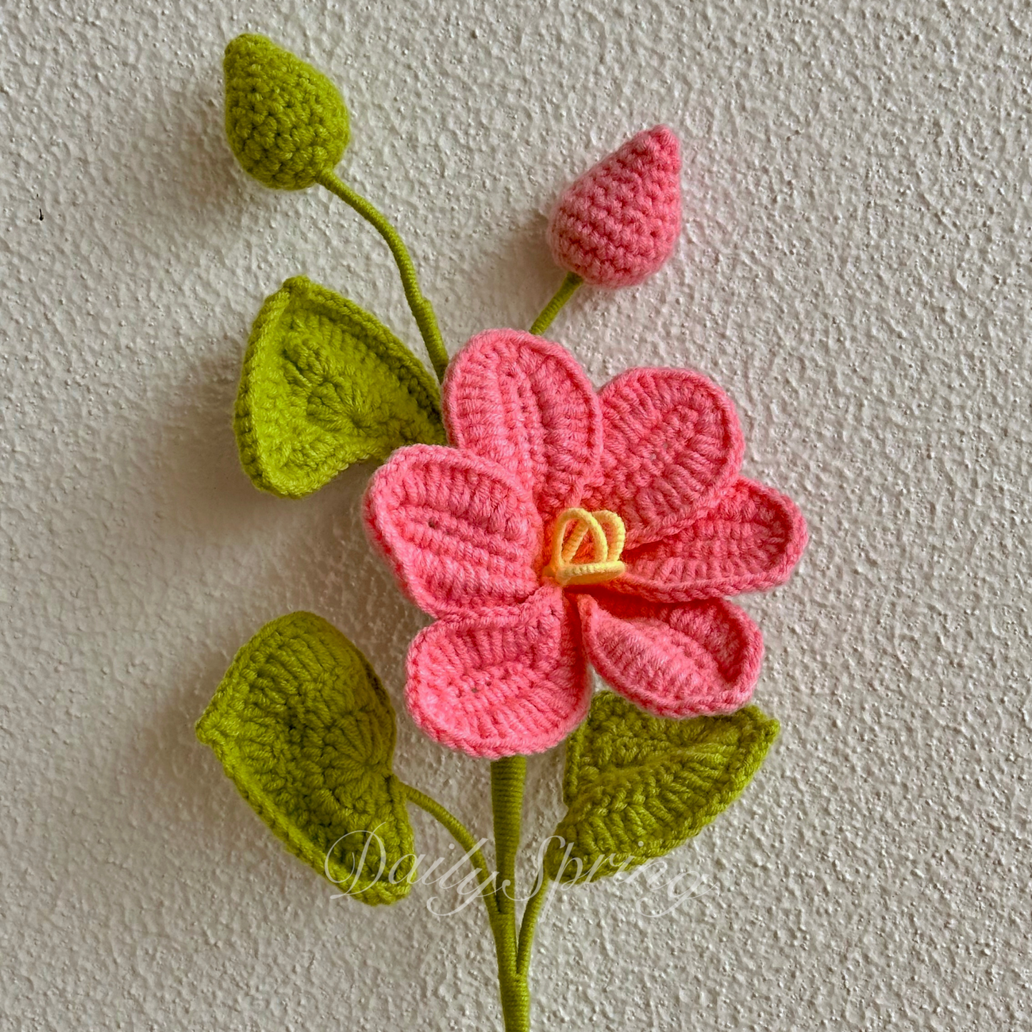 May Snow Flower