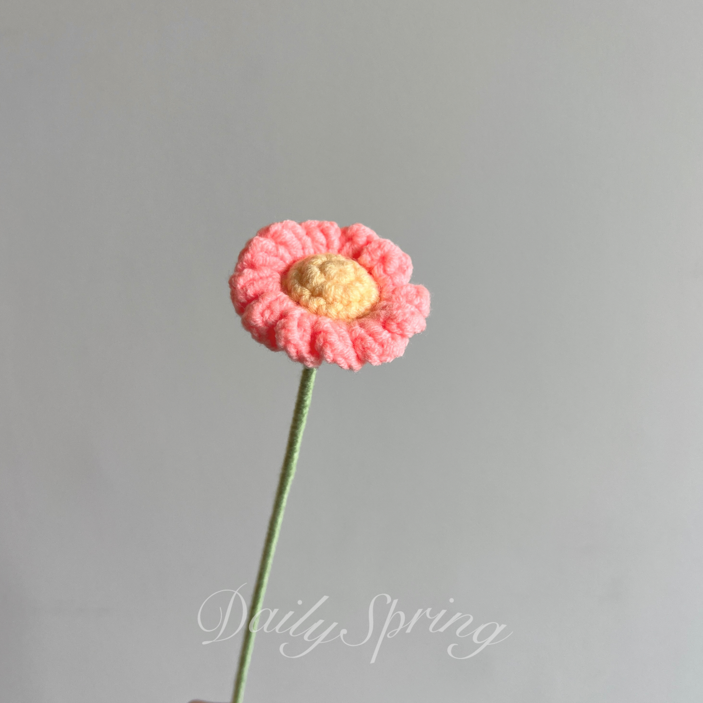 Single Stalk Daisy