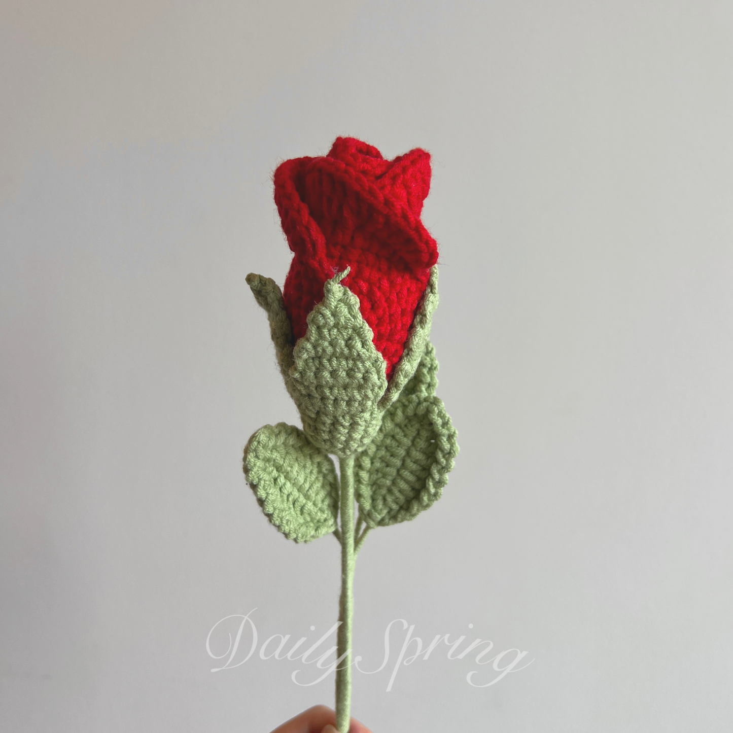 Curled Rose