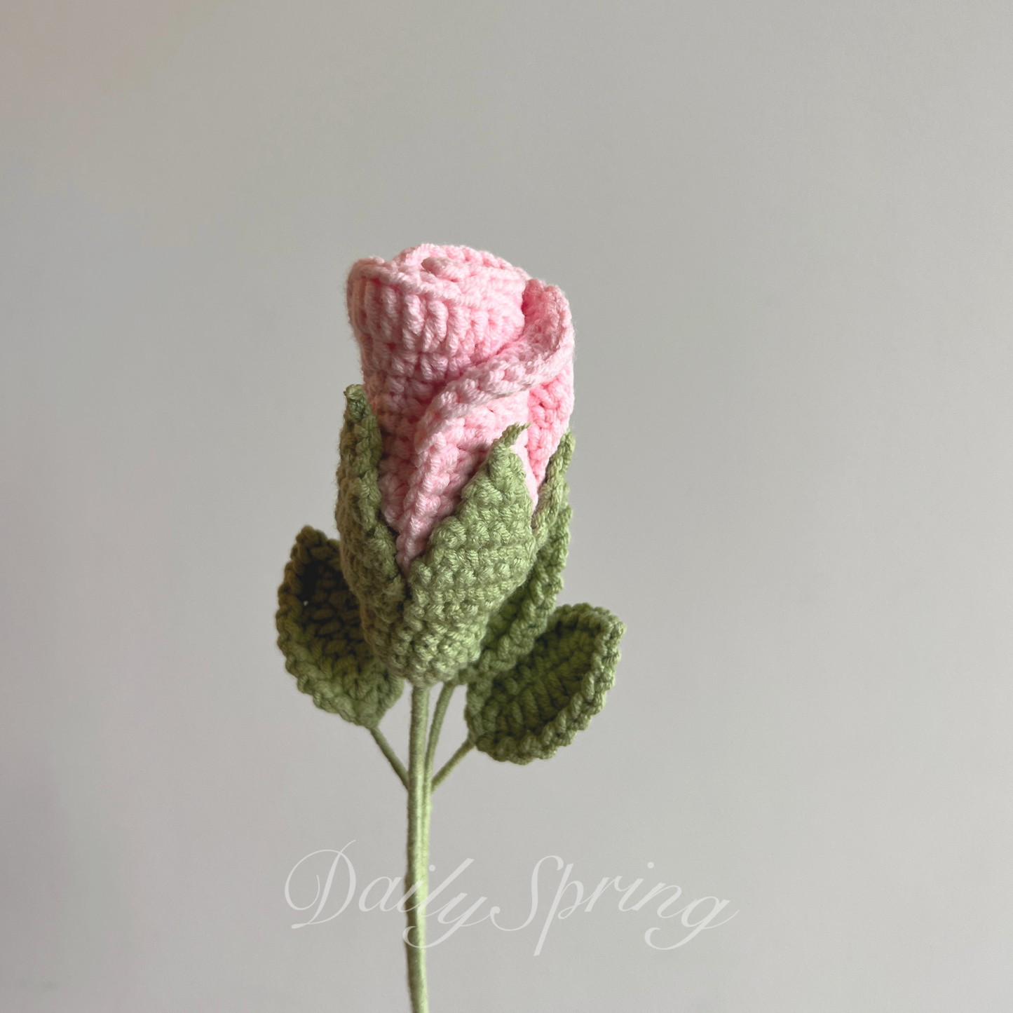Curled Rose