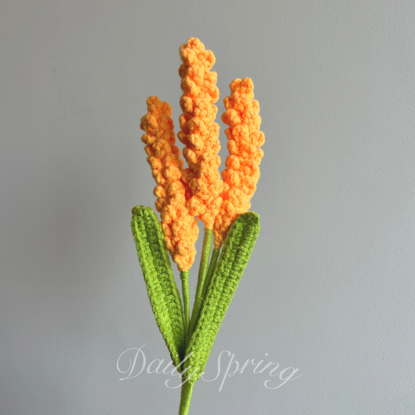 Wheat