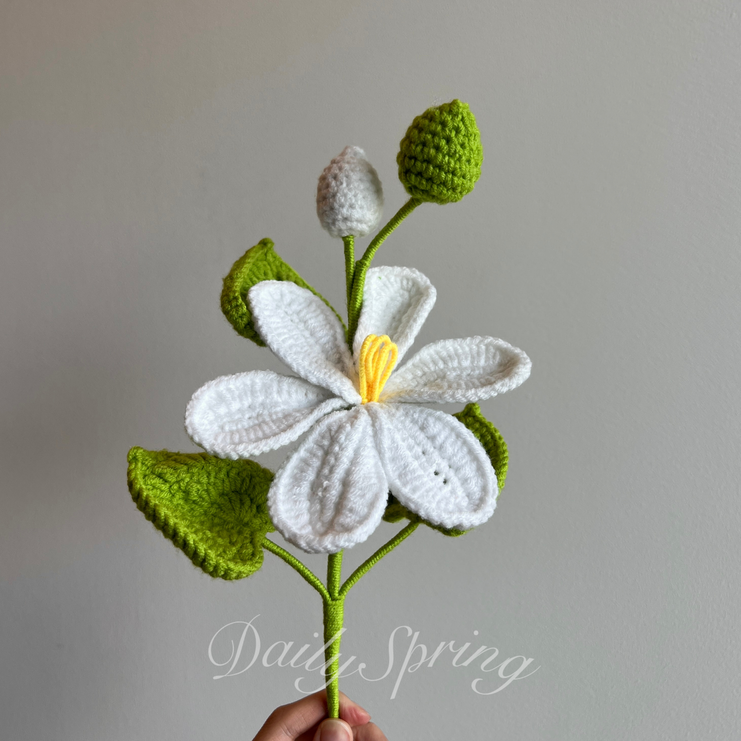 May Snow Flower