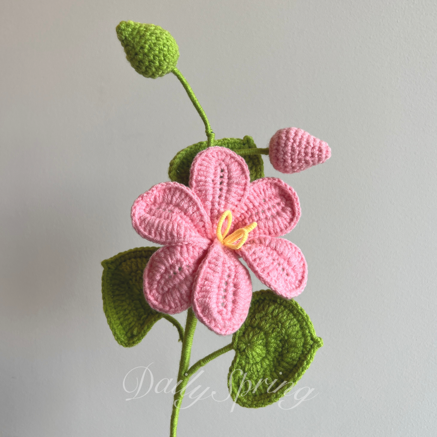 May Snow Flower