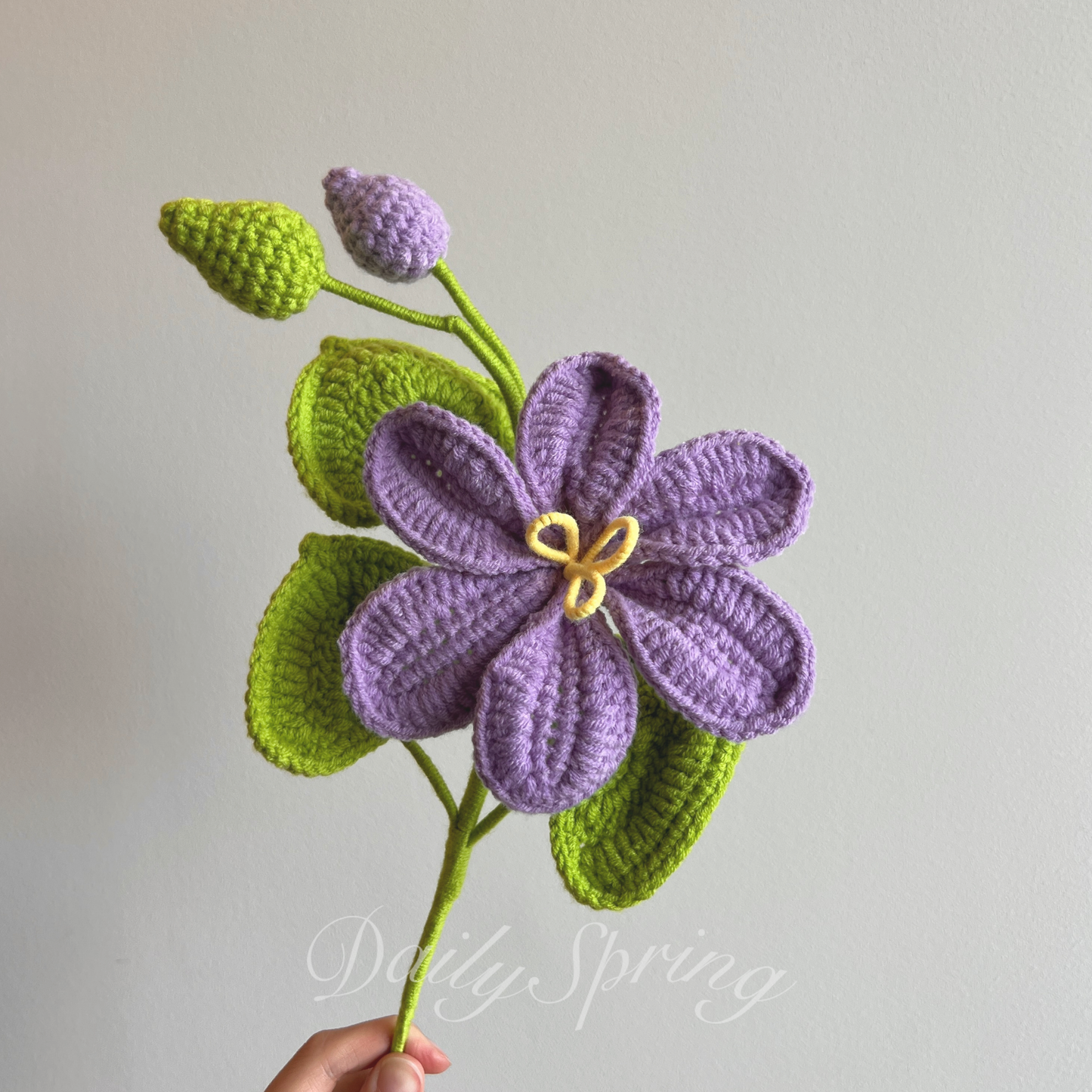 May Snow Flower