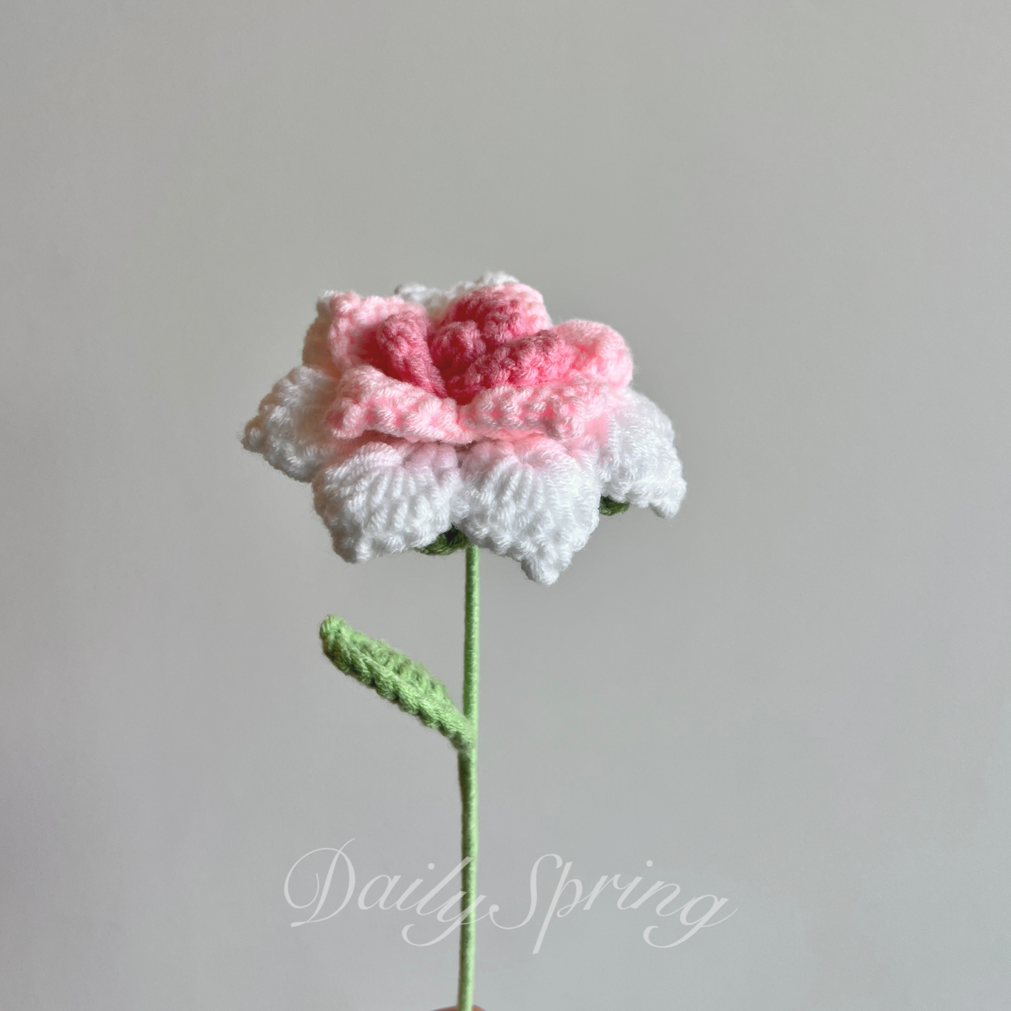 Multi-Petal Rose