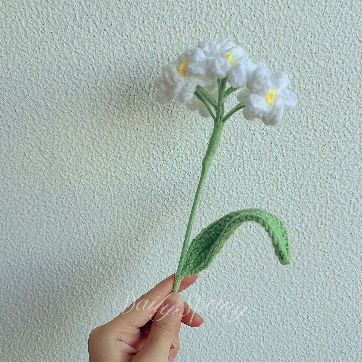 Forget Me Not