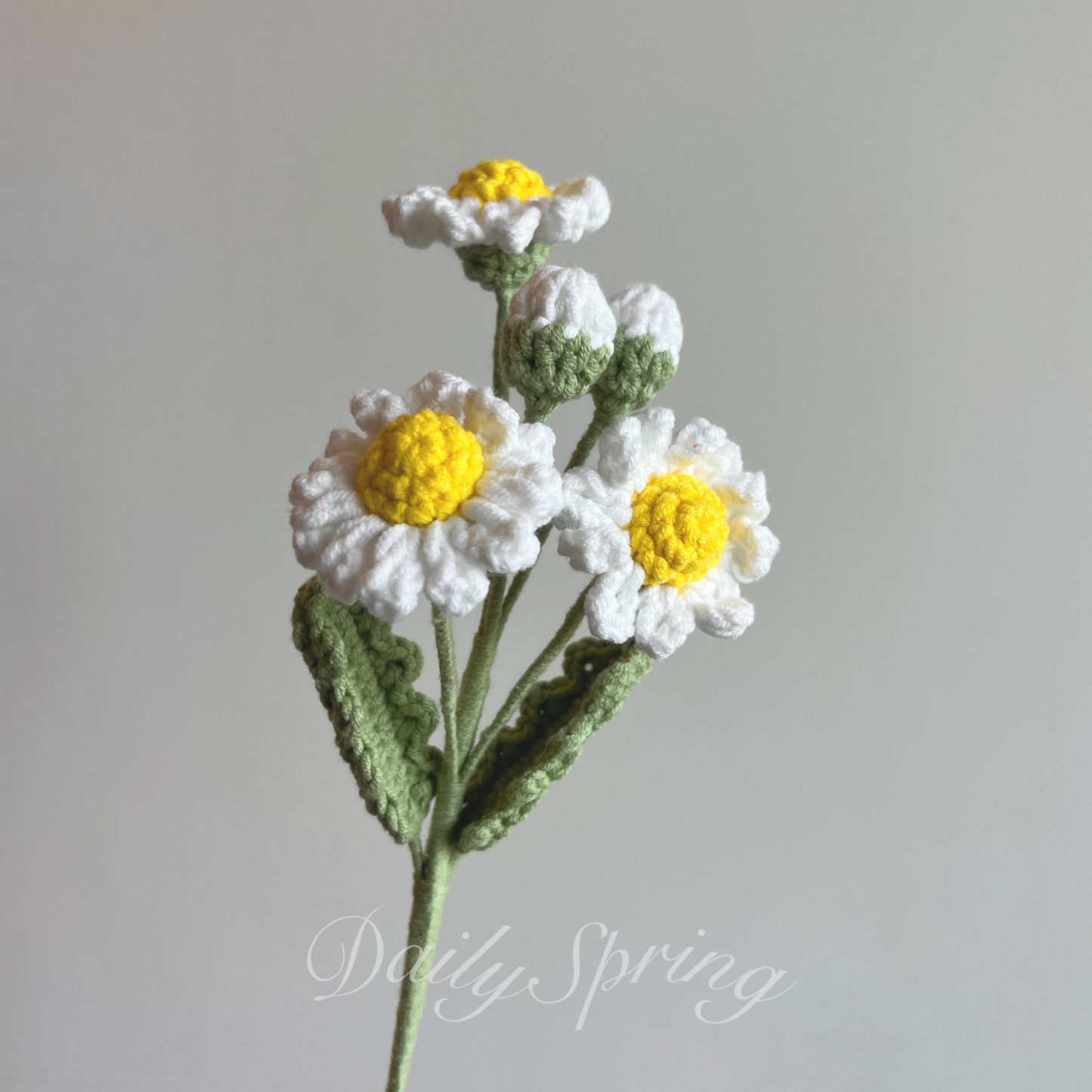 Multi-head Daisy