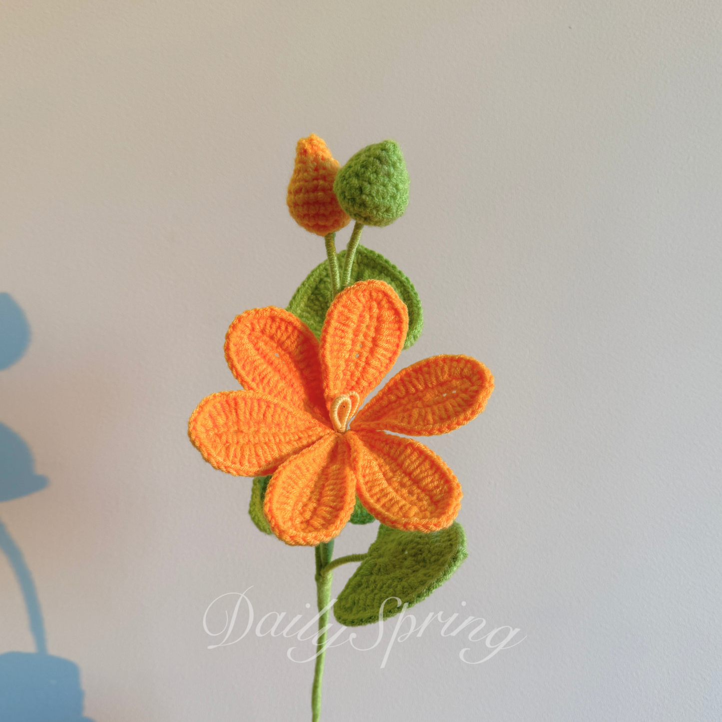 May Snow Flower