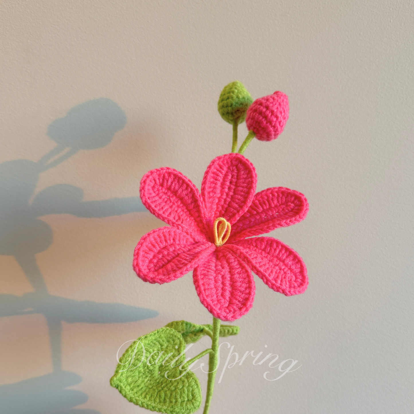 May Snow Flower