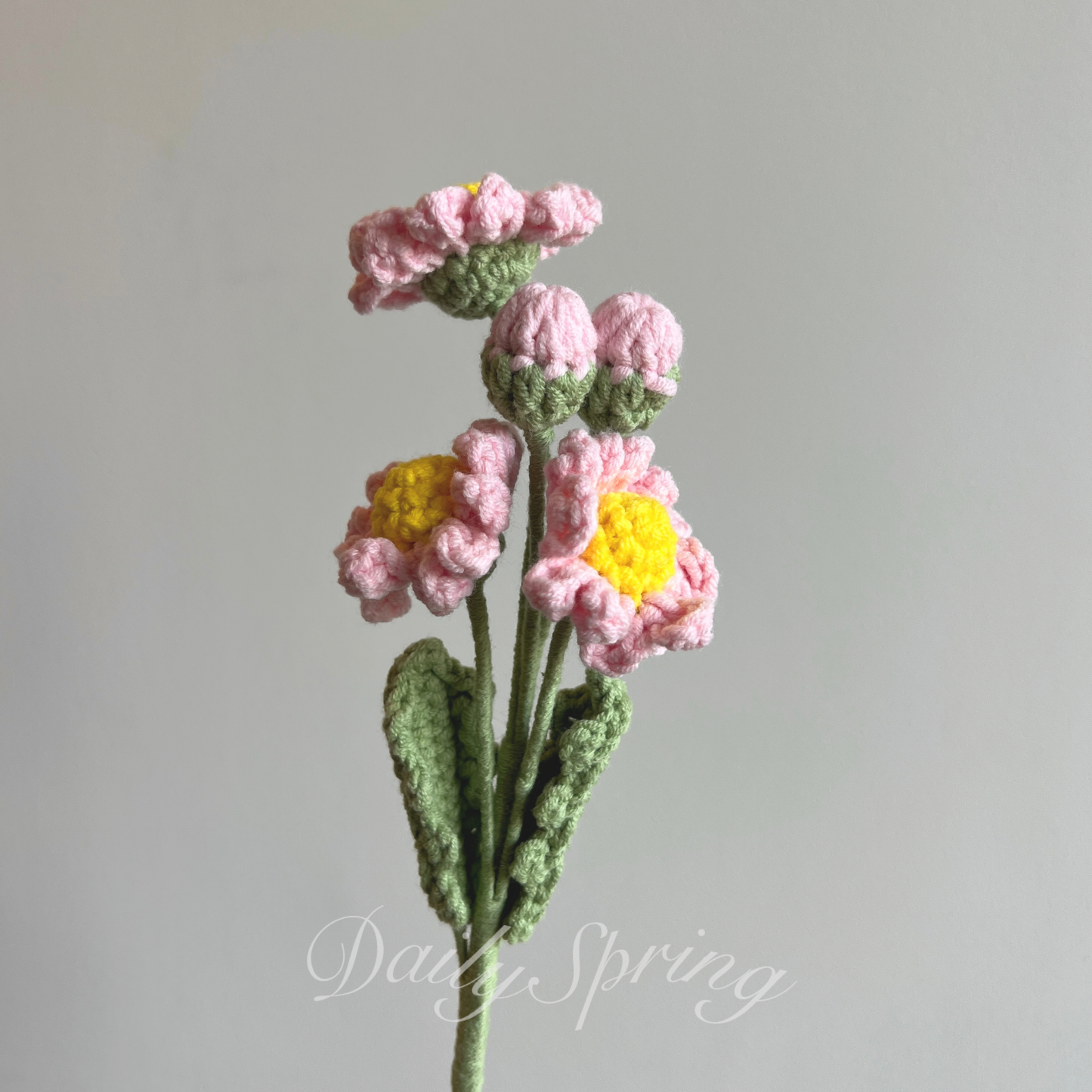 Multi-head Daisy