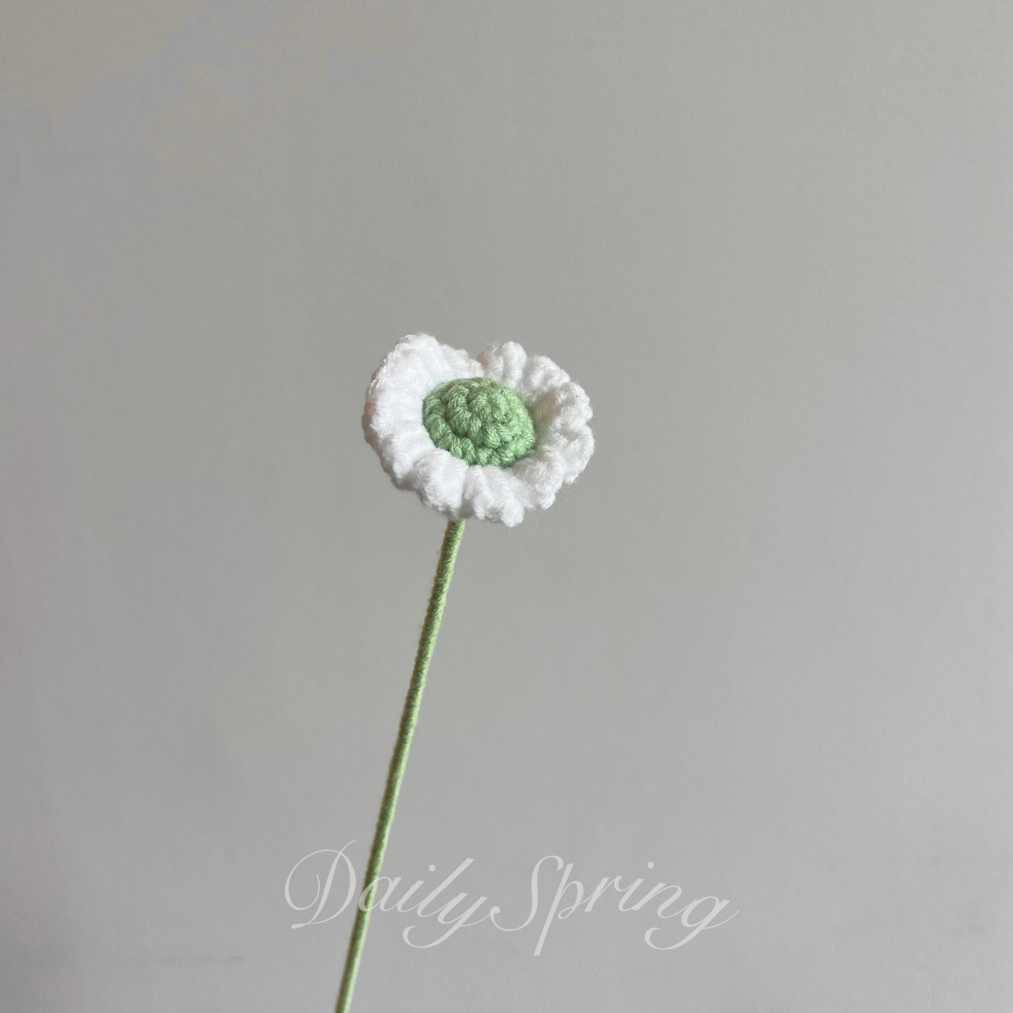 Single Stalk Daisy