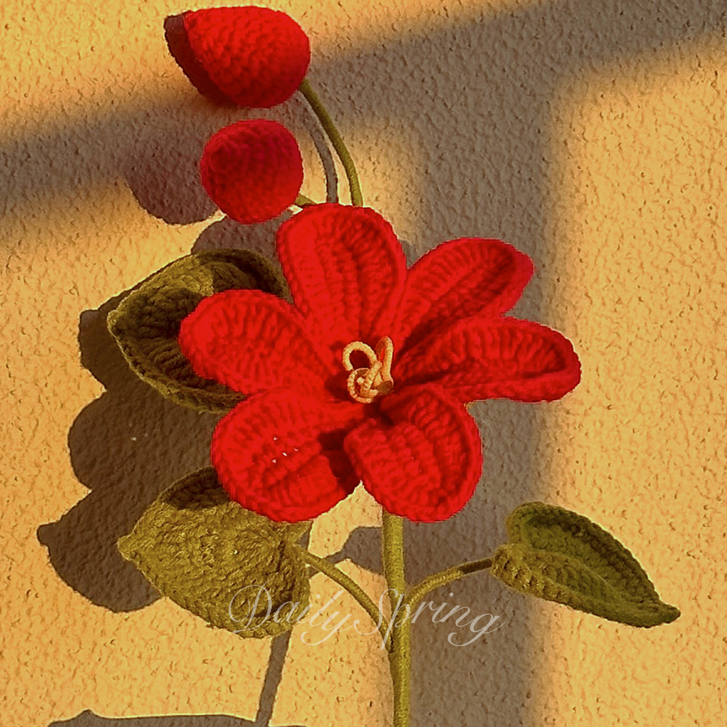 May Snow Flower