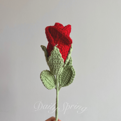 Curled Rose