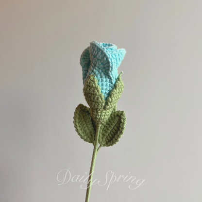 Curled Rose