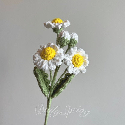Multi-head Daisy