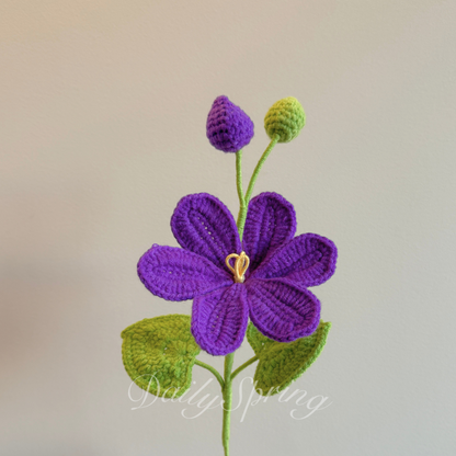 May Snow Flower