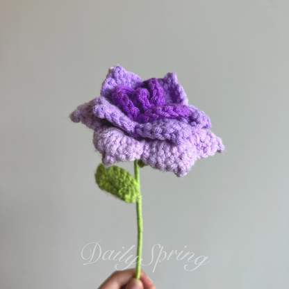 Multi-Petal Rose